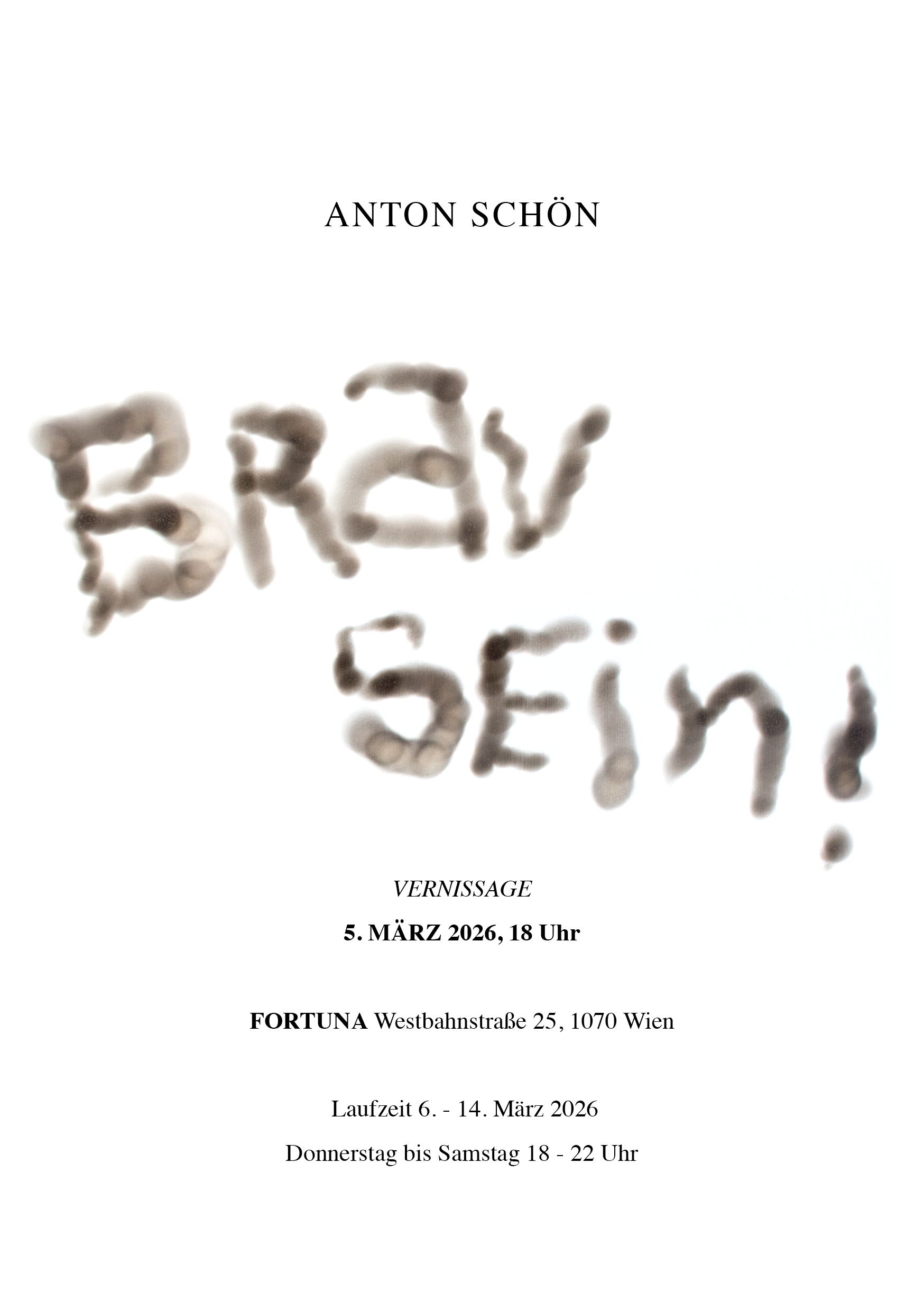 BravSein_Einladung_2026_2 Einladung zum Weihnachtsmarkt der bildenden Künst in Dresden, 11.–14.12.2025